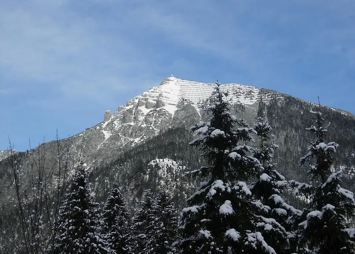 Berktold * ビヒルバッハ