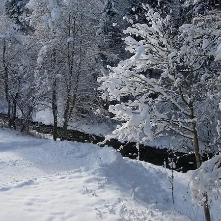 Gasthof Berktold Bichlbach