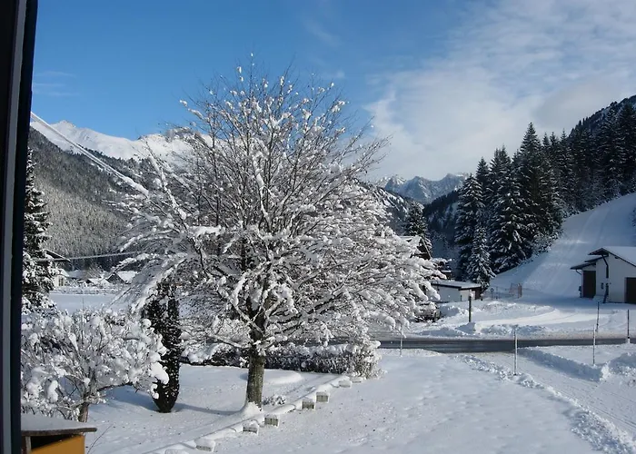 Berktold بيشلباخ