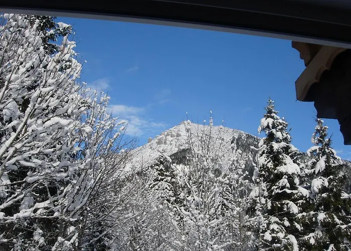 بيت ضيافة Berktold *